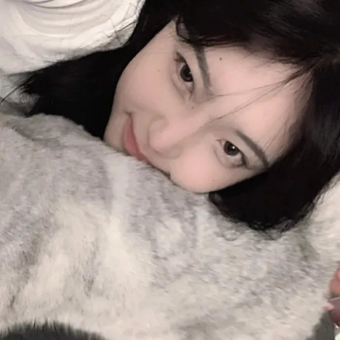 好莱坞芭比电影版